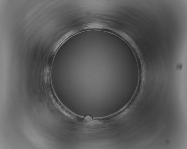 X0000113341337200909291021