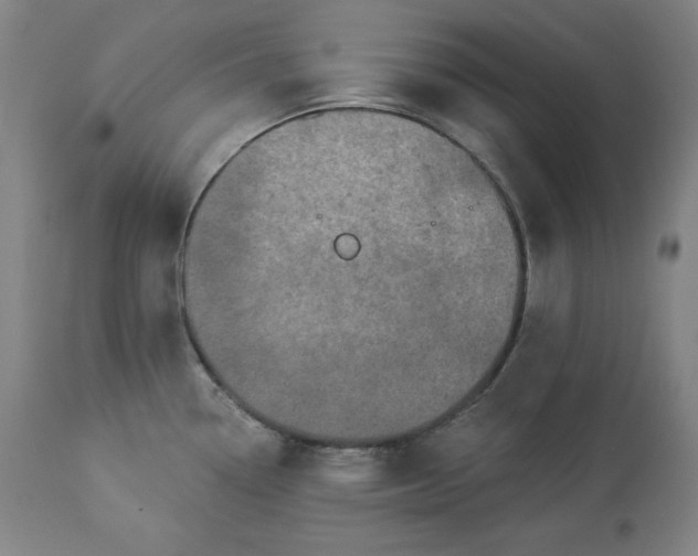 X0000113341338200909291021