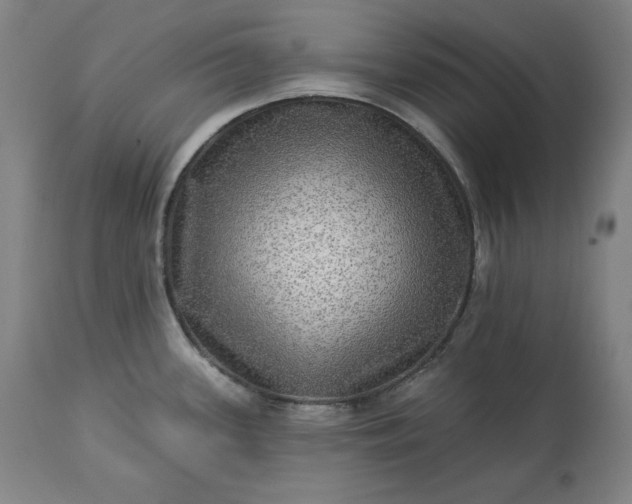 X0000113341339200909291021