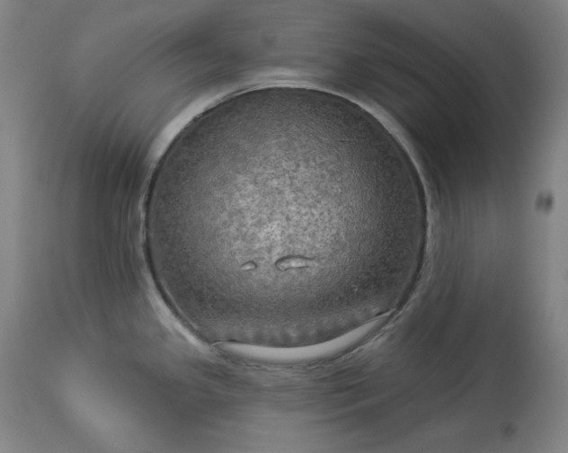 X0000113341341200909291021