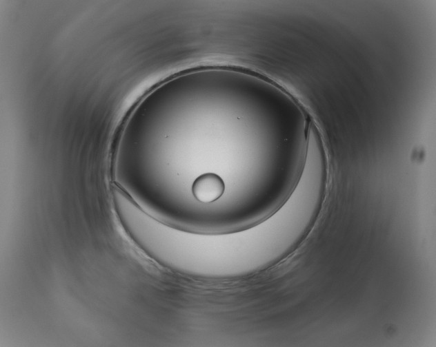 X0000113341342200909291021