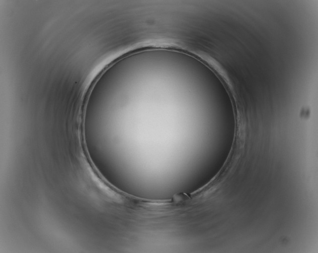 X0000113341343200909291021