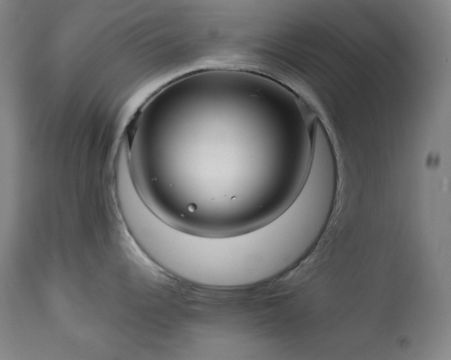 X0000113341344200909291021