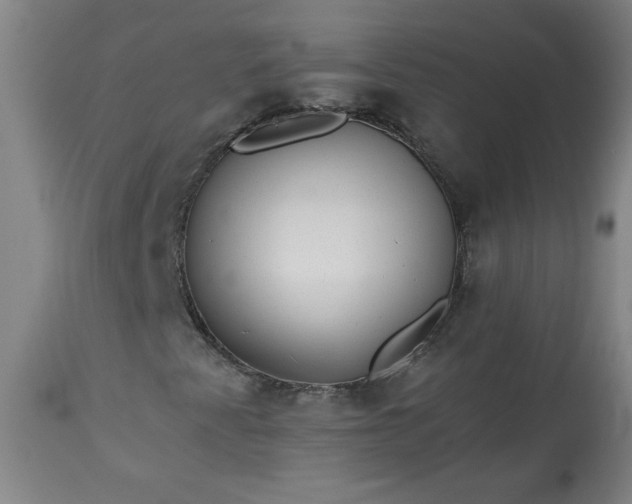 X0000113341345200909291020