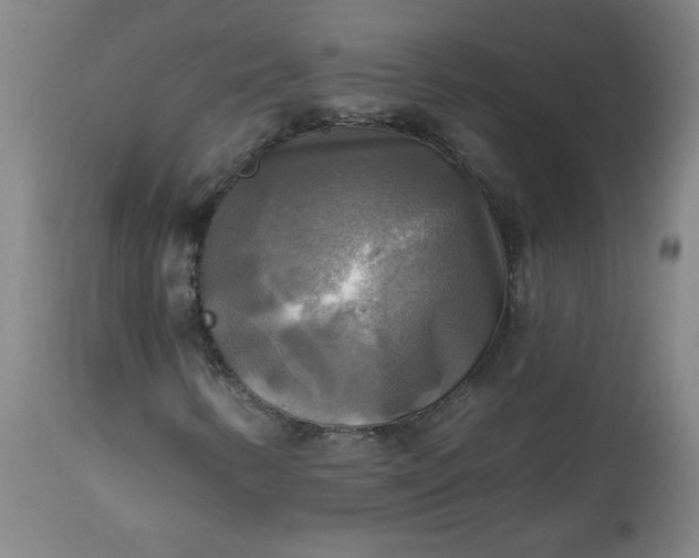 X0000113341346200909291020