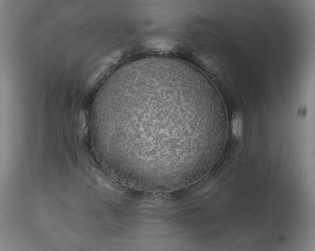 X0000113341347200909291020