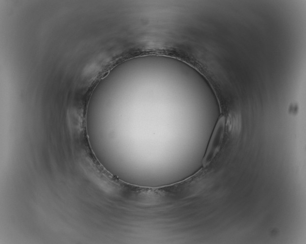 X0000113341348200909291020