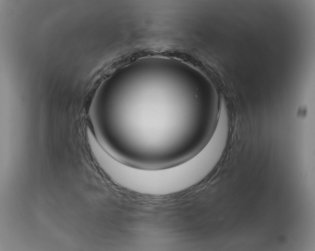 X0000113341349200909291020