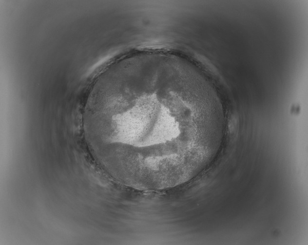 X0000113341350200909291020