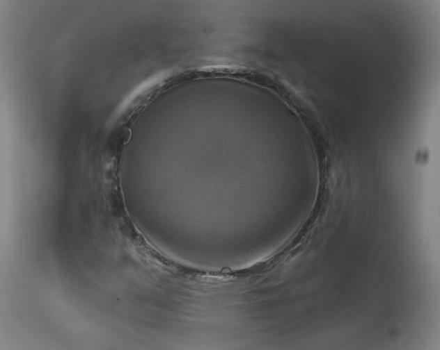 X0000113341351200909291020