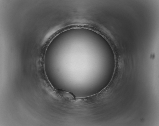 X0000113341352200909291020