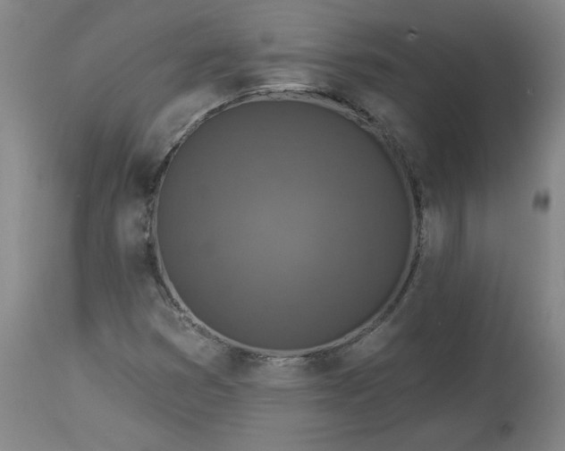 X0000113341353200909291020