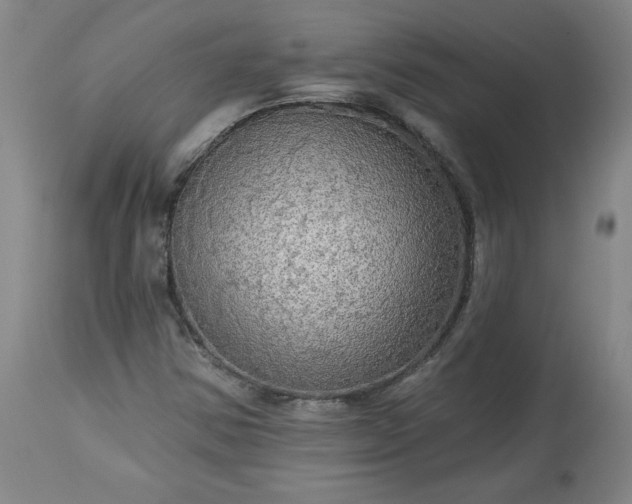 X0000113341354200909291020