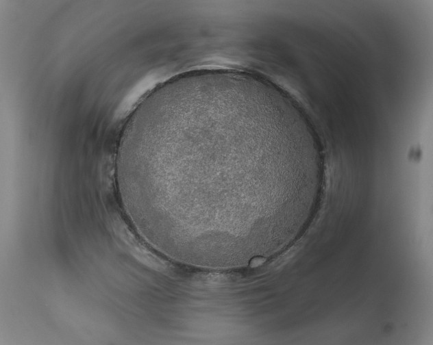 X0000113341355200909291020