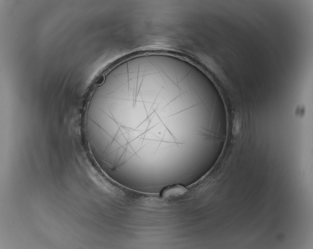 X0000113341356200909291020