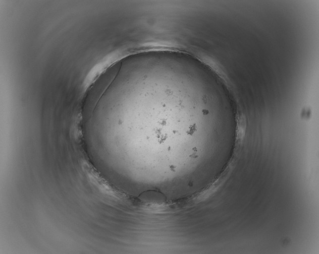 X0000113341357200909291020