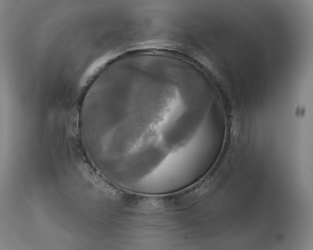 X0000113341358200909291020