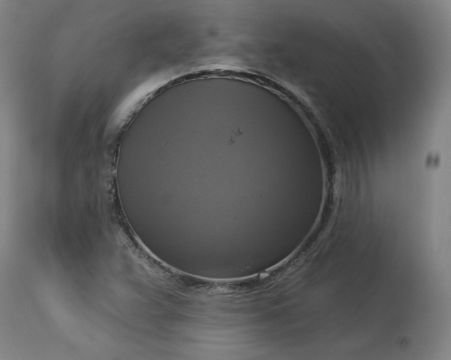 X0000113341359200909291020