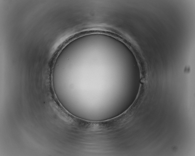 X0000113341360200909291020