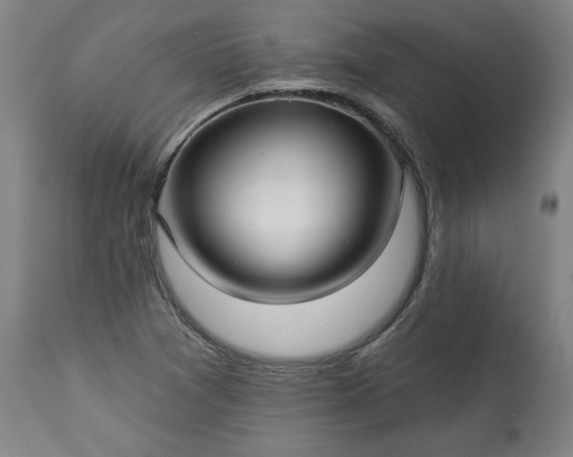 X0000113341361200909291020