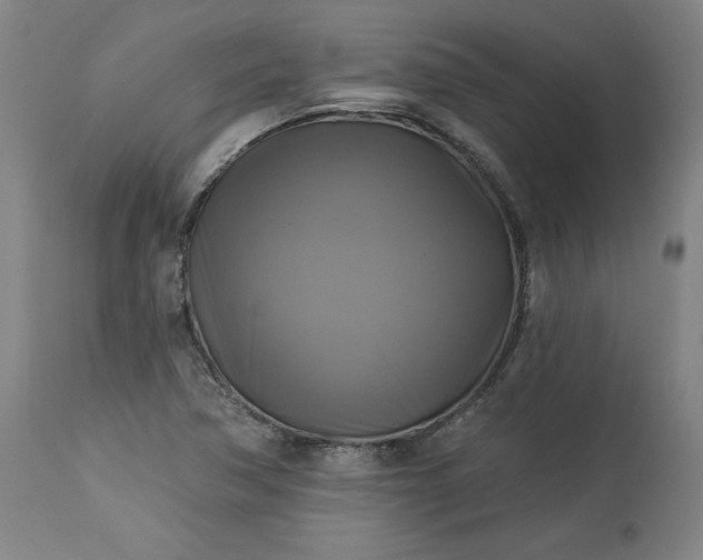 X0000113341362200909291020