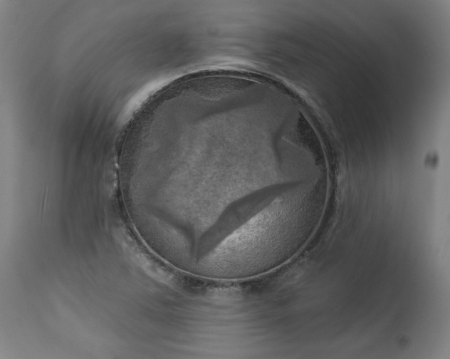 X0000113341363200909291020