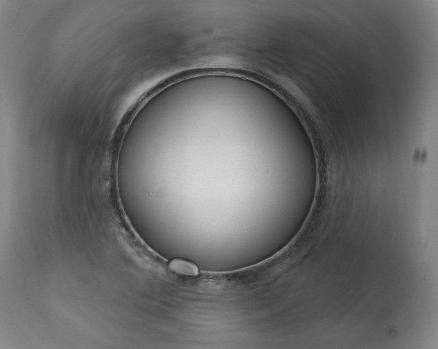 X0000113341364200909291020