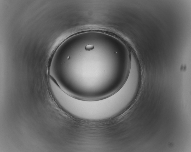 X0000113341365200909291020