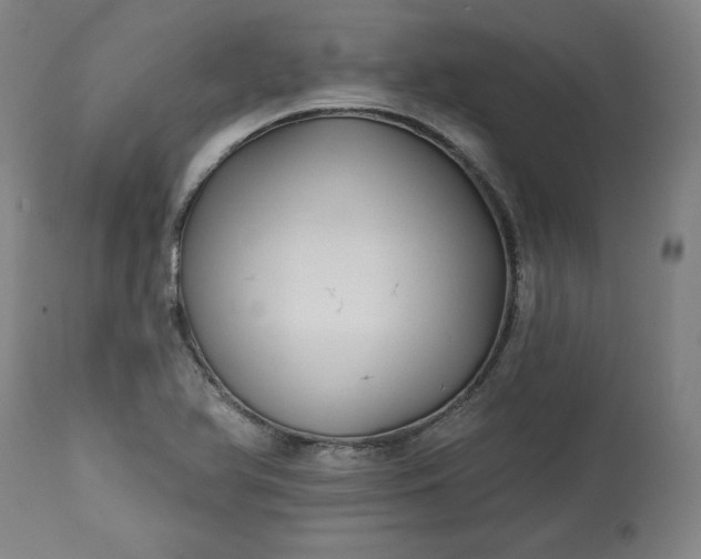 X0000113341366200909291020