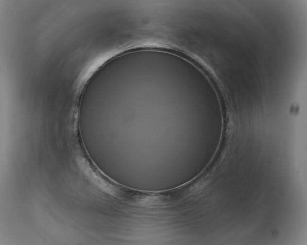 X0000113341367200909291020