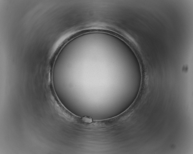 X0000113341368200909291020