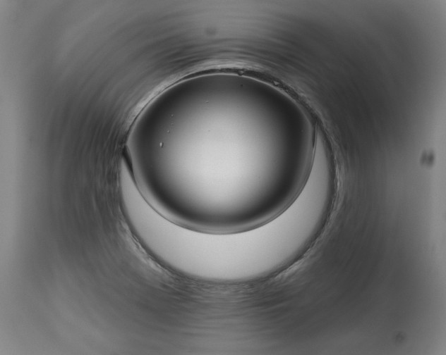 X0000113341369200909291020