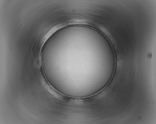 X0000113341370200909291020