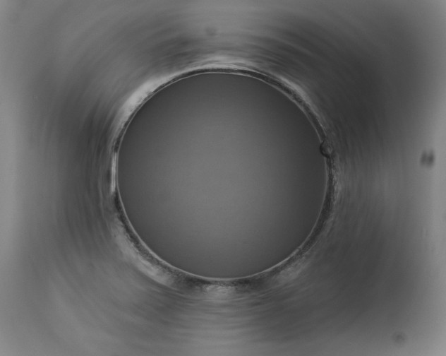 X0000113341371200909291020