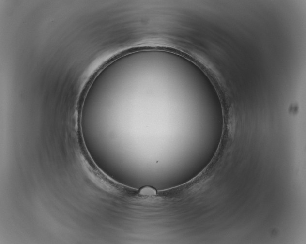 X0000113341372200909291020