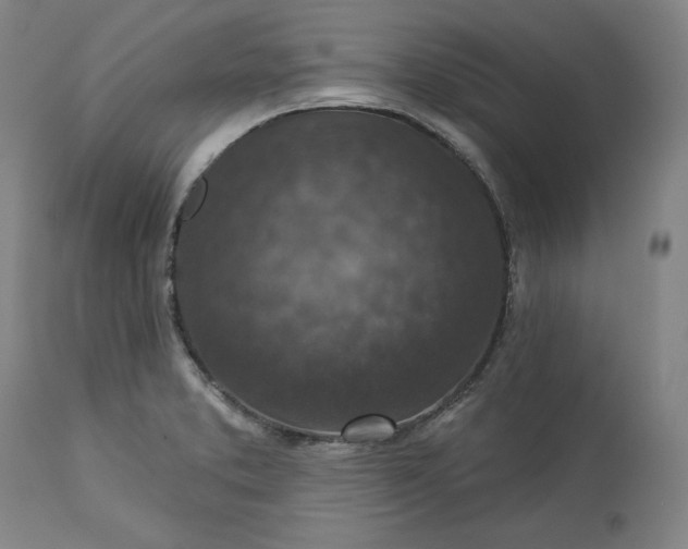 X0000113341373200909291020