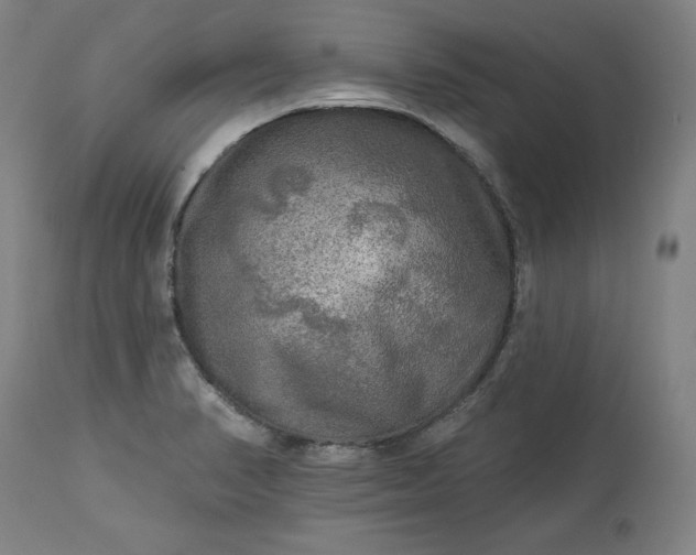 X0000113341374200909291020