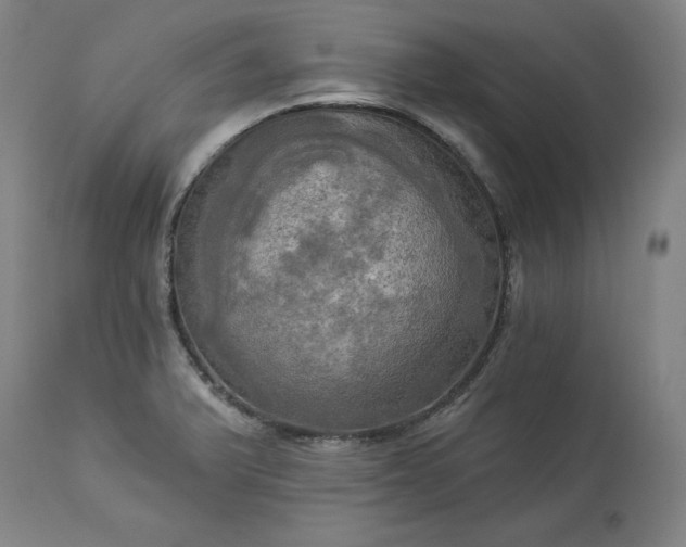 X0000113341375200909291020