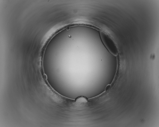 X0000113341376200909291020