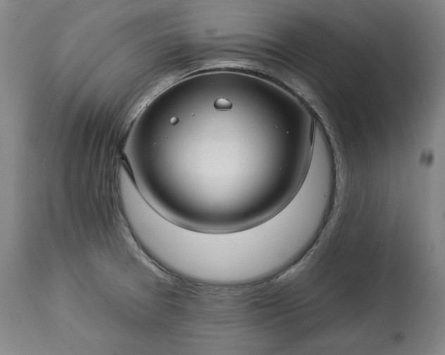 X0000113341377200909291020