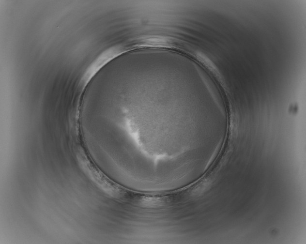 X0000113341378200909291020