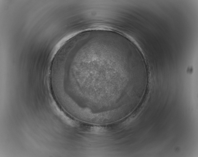 X0000113341379200909291020