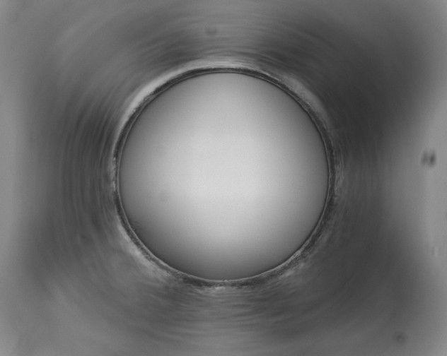 X0000113341380200909291020