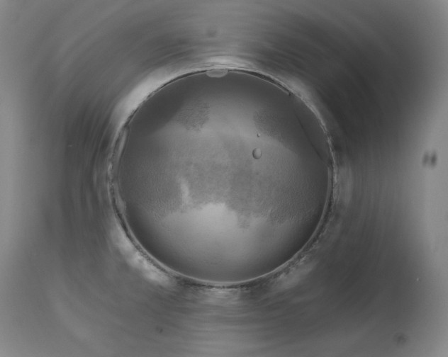 X0000113341381200909291020