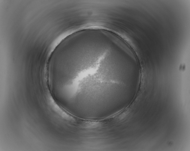 X0000113341382200909291020