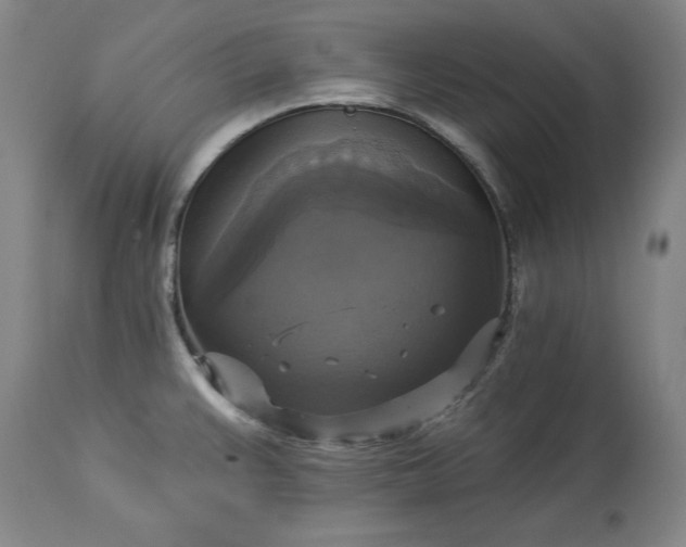 X0000113341383200909291020