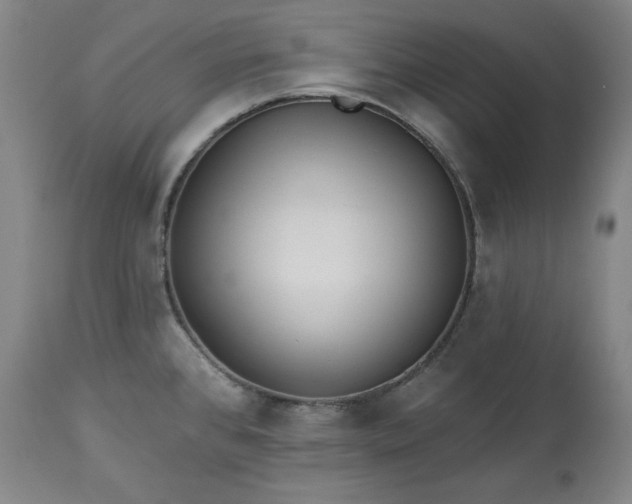 X0000113341384200909291020