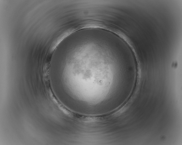 X0000113341385200909291020