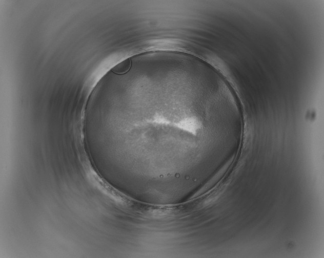 X0000113341386200909291020