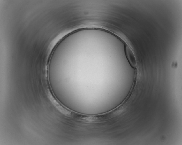 X0000113341388200909291020